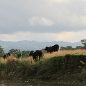 India & Nepal 2011 - 0588